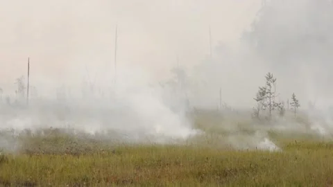 Burning peat bog Stock Footage 157823078