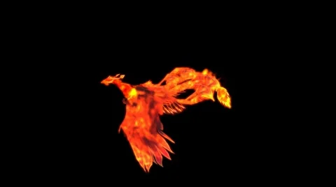 Burning phoenix animation with alpha Stock Footage
