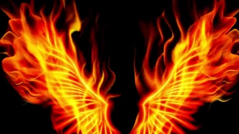 Burning Phoenix Wings with Sparks Stock Footage 311388399
