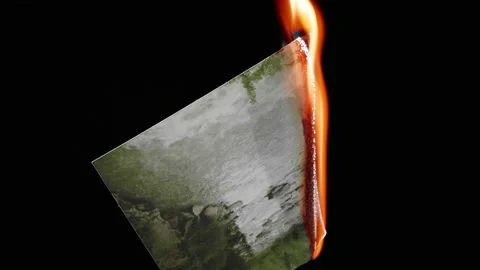 Burning photo on black background in high quality Stock Footage 220929842