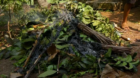 Burning pile of compost Stock Footage 95872804