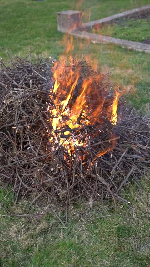 A burning pile of dry branches. A bonfire made of thin, dry branches Stock Footage 306009376