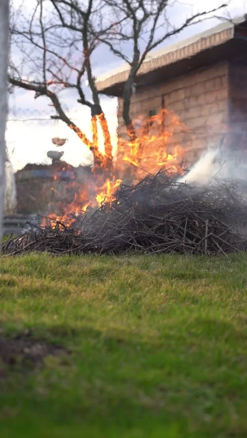 A burning pile of dry branches. A bonfire made of thin, dry branches Stock Footage 306009467