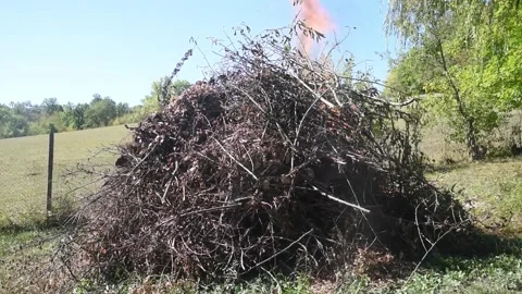 Burning Pile of Dry Branches Stock Footage 321758640