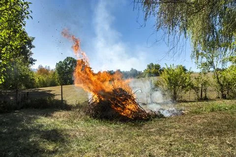 Burning Pile of Dry Branches Stock Photos