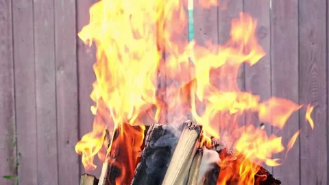 Burning pine logs for coals. Strong flame on the grill. Burning firewood on the Stock Footage 233847515