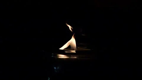 Burning pine needle resin in candle flame slow motion Stock Footage 229875505