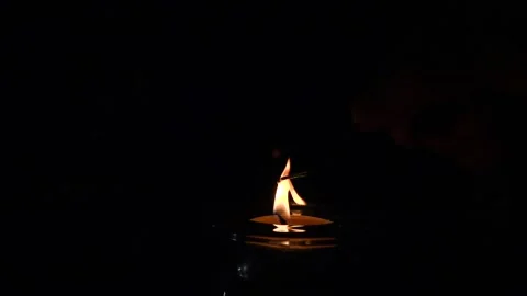 Burning pine needle resin in candle flame slow motion Stock Footage 229876254