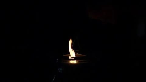 Burning pine needle resin in candle flame slow motion Stock Footage 229876900