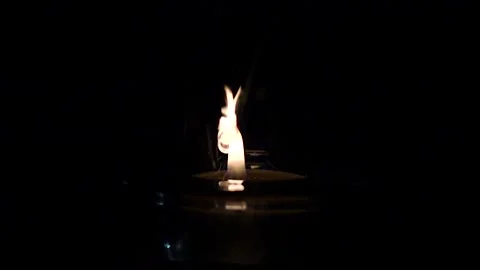 Burning pine needle resin in candle flame slow motion Stock Footage 229879345