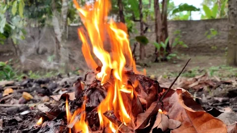 Burning plastic waste Video stock 214382708