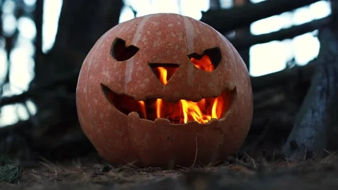 Burning pumpkin head in the forest. Stock Footage 162660878