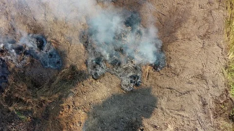 Burning rainforest Stock Footage 123679065