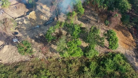 Burning rainforest Stock Footage 124441117