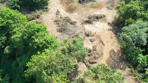 Burning rainforest Stock Footage 125166793