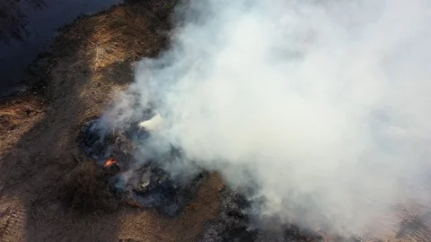 Burning rainforest Stock Footage 126088266