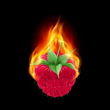 Burning raspberry Stock Illustration