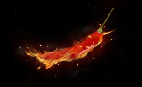 Burning red chilli pepper isolated on black background Stock Photos