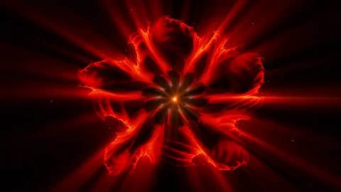 Burning red fiery flower with rays of light Stock-Footage 82673077