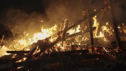 Burning remains of Year of Tiger Float, Sagicho Matsuri 動画素材 176361412