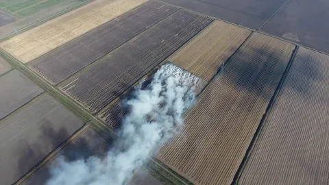 The burning of rice straw in the fields.  Stock Footage 76258864