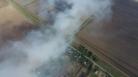 The burning of rice straw in the fields. Smoke from the burning of rice straw in Stock Photos