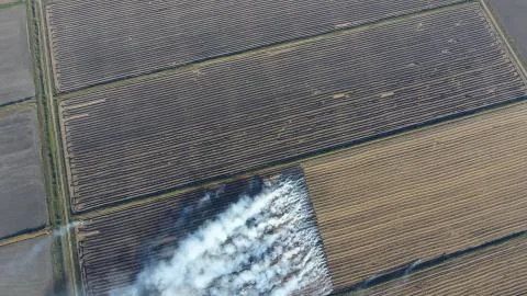 The burning of rice straw in the fields. Smoke from the burning of rice straw in Foto stock
