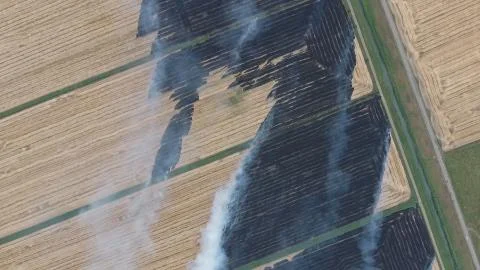 The burning of rice straw in the fields. Smoke from the burning of rice straw in Foto stock