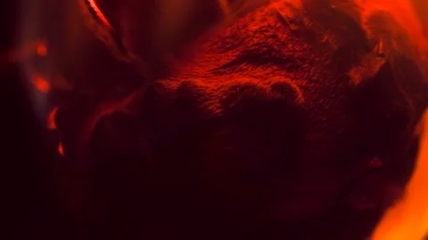 Burning rose bud in orange light, six panel montage Video stock 310521670