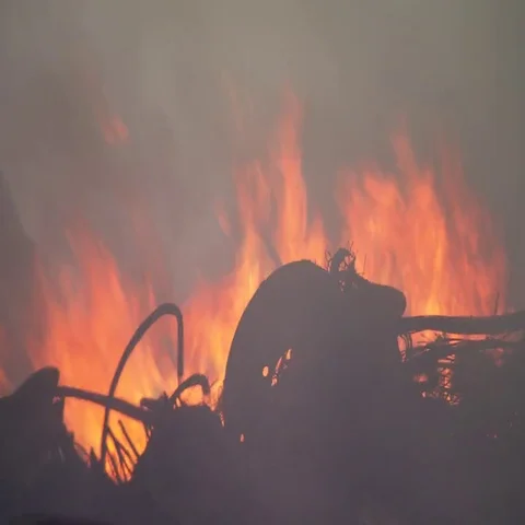 Burning rubber tires Vidéo 69449834