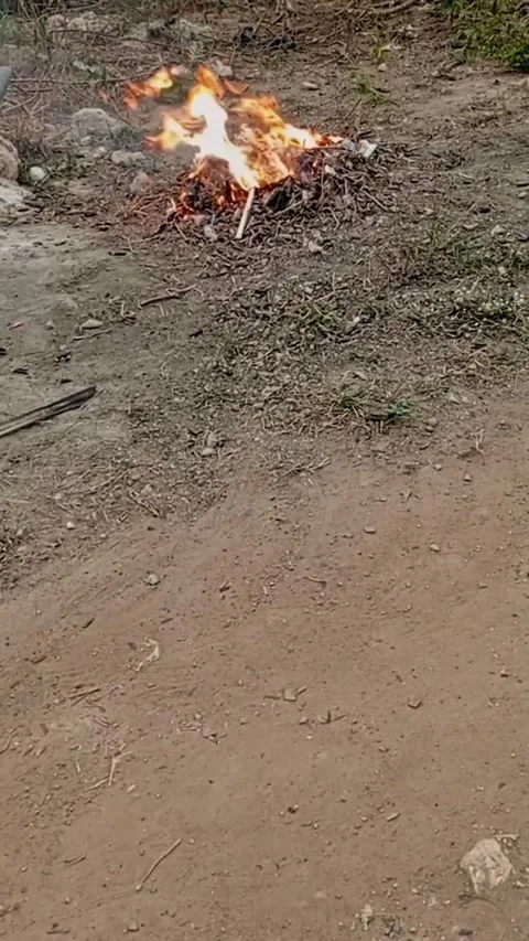 Burning rubbish on green grass. Stock Footage 329458125