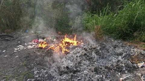 Burning in the rural  Video stock 157848941