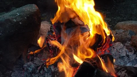 Burning secret documents in open fire Stock Footage 283601169