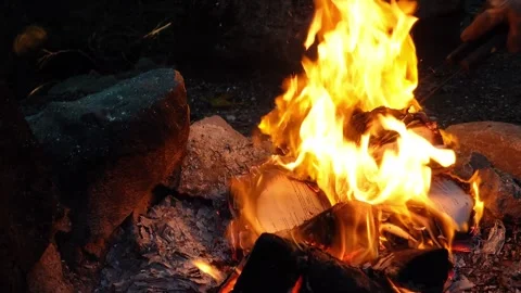 Burning secret documents in open fire Stock Footage 283602728
