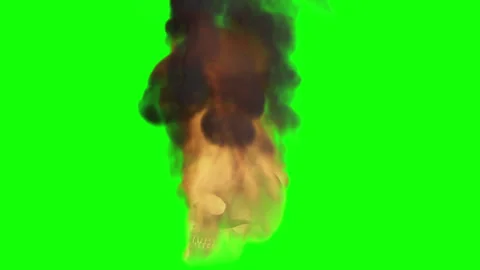 A burning skull on a green background. a burning skull seen from the side Stock Footage 280744697