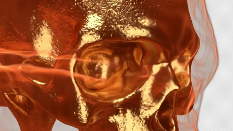 Burning Skull Transition Stock Footage 265745963