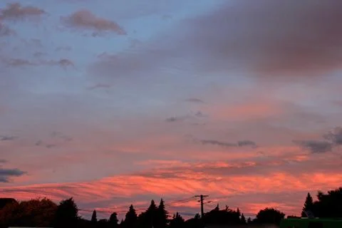Burning sky with shadow of trees Stock Photos