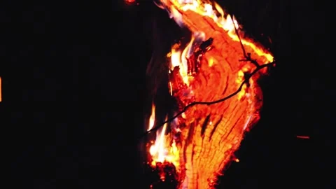 Burning smoldering tree trunk on a black background. Video stock 331861700