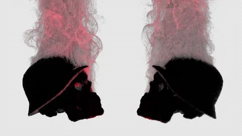 Burning Soldiers Skulls Stock Footage 243180770