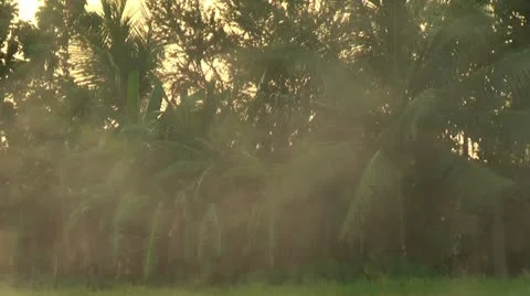 Burning stacks of rice Vidéo 22328557