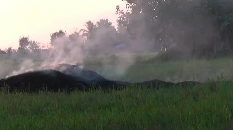 Burning stacks of rice Stock Footage 22328571