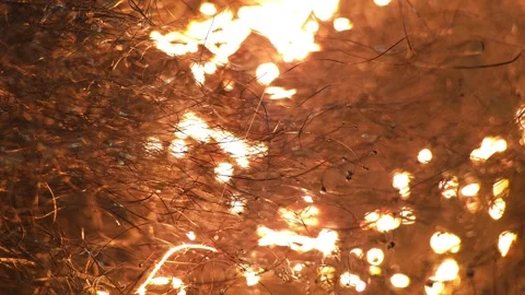 Burning steel wool in close-up macro 8k Video stock 255258501