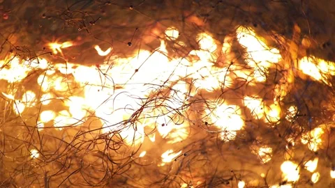 Burning steel wool in close-up macro 8k Stock Footage 255259046