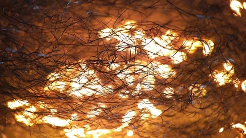 Burning steel wool in close-up macro 8K Stock Footage 255259385