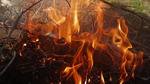 A burning stick with flying smoke. Stock Footage 241744835