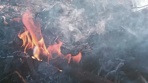 A burning stick in smoke. Stock Footage 220383881
