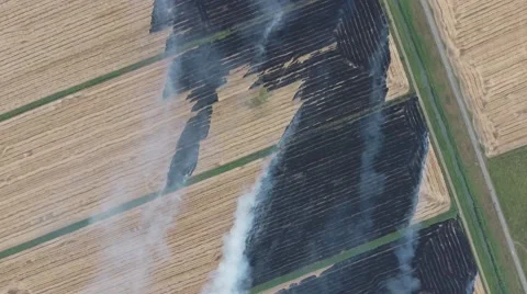 Burning straw in the fields after harvesting wheat crop Stock Footage 65355442