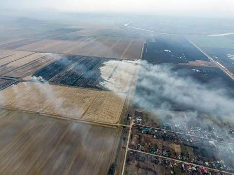 Burning straw in the fields Foto stock