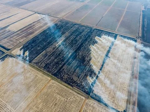 Burning straw in the fields Foto stock