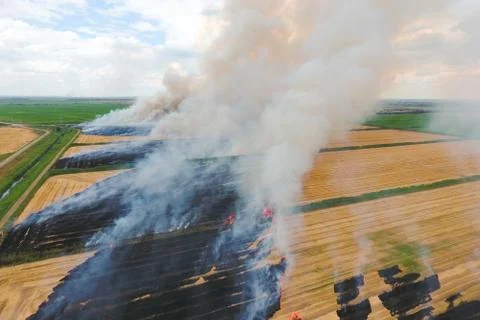 Burning straw in the fields of wheat after harvesting Stock Photos